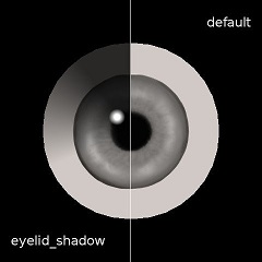 eyelid_shadow.jpg